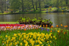 keukenhof-1