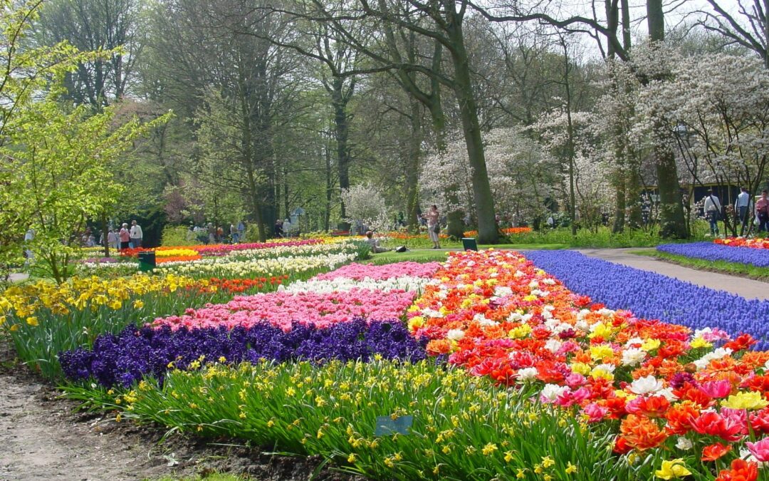 Keukenhof