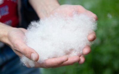 Pluisjes in mijn buik